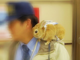 6-nd-1.jpg