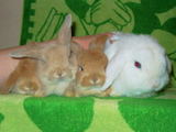 mirko&baby-4.jpg