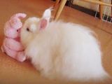 mousse-2.jpg
