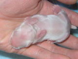 20050407a7eb199d.jpg