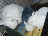20050422e25890b3.jpg