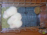 200504231bb36987.jpg
