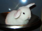20050502c0210c1c.jpg