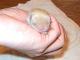 20050529c9bd614d.jpg