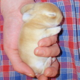 20050601d2fcd0d5.jpg