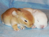 200506048d8cdb94.jpg