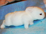 200506059d60f0e4.jpg