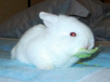 20050610f2fb8294.jpg