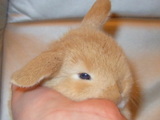 200506112e1566ec.jpg