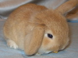 2005061357279696.jpg