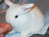 200506138419691c.jpg