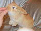 2005062216dddfa9.jpg