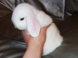 200506244f70a303.jpg