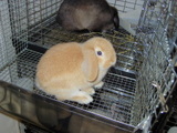 20050710257e103f.jpg