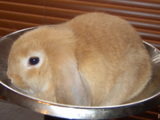 200508015129ac83.jpg