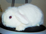 20050908b2525afc.jpg