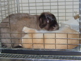 200509122e3725c7.jpg