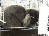 2005111434a04bb4.jpg