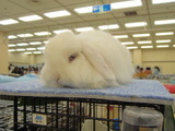 20051114d4a69415.jpg