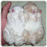 7baby-15-4.jpg