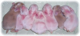 7baby-6-1.jpg