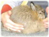 _rabbitshow 11th12th 124.jpg