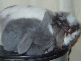 an&pan-1.jpg