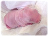 anbaby-1-2.jpg