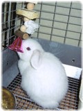glico-1214-2.jpg