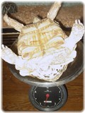 hyou-12o-1.jpg