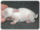 jwbaby-0919-04.jpg