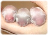 kanbaby-2-2.jpg