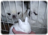 lent-16-3.jpg