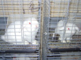 mir&shirtota-1.jpg