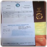ribbon&leg-1.jpg