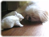sea&hlbaby-4.jpg