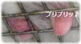 shirota-1201-2.jpg