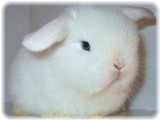 tarako-0206-2.jpg
