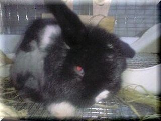 150910_1251~0002.jpg