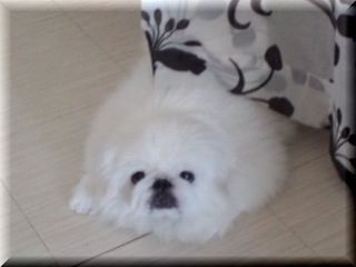 160720_1117~01.jpg