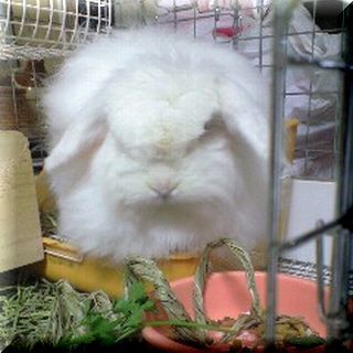 170313_2121~0001.jpg