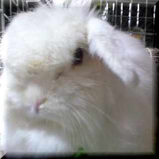 170313_2124~0001.jpg