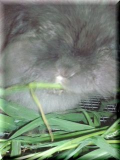 190806_0923~01.jpg