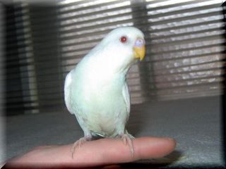 2004N660008.JPG