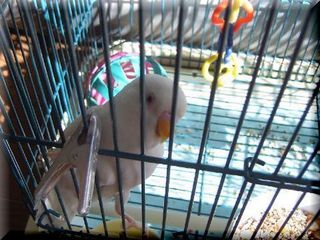 2005N1210031.JPG