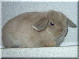 2005年3月8日0022.jpg