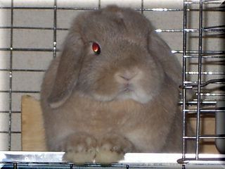 2005年8月26日0002.JPG