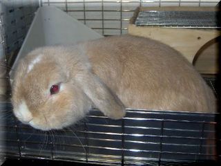 2006年1月22日0003.JPG