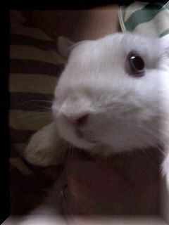 2013031421260000.jpg