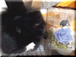 20180207_121801.jpg